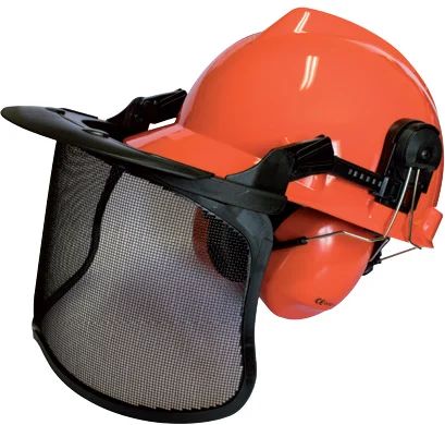 Casque forestier DPPM 05130