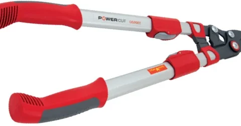 Elagueur télescopique OUTILS WOLF OS900T