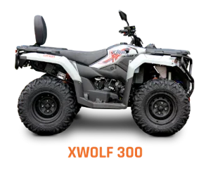 Quad Loncin XWOLF 300