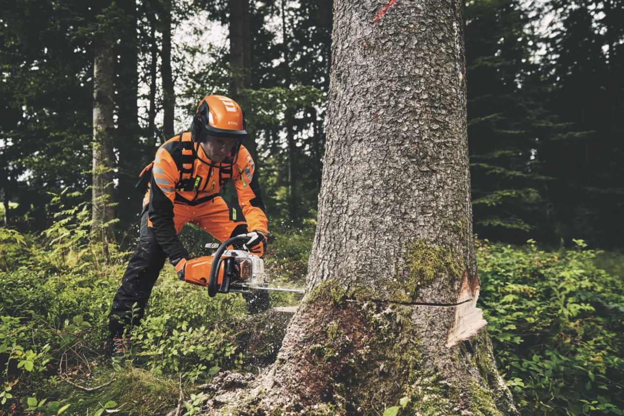 STIHL MS 400 C-M, Guide S 55cm – 3/8″ (36 RS) – Guide S 55cm – 3/8″ (36 RS) - en situation