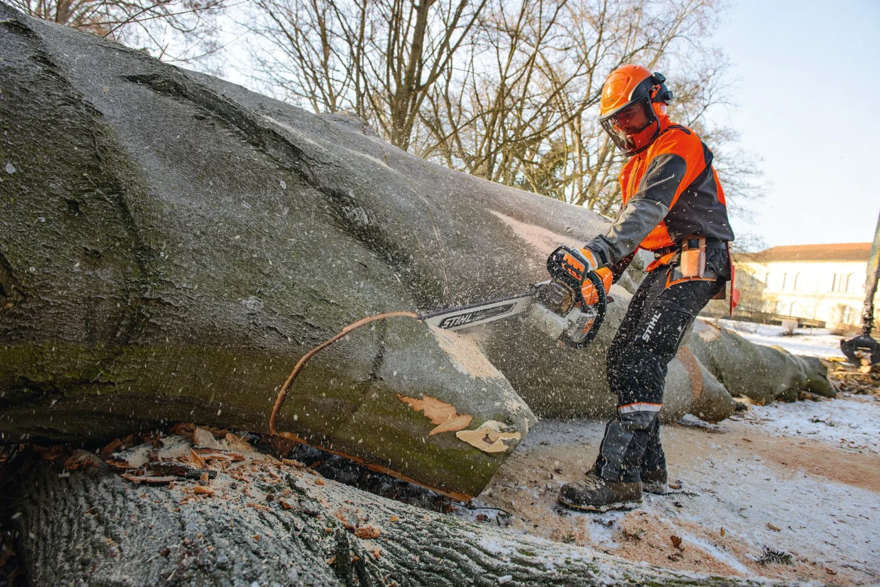 STIHL MS 661 C-M, Guide Rollo ES Light 80 cm (3/8 RM) – Guide Rollo ES Light 80 cm (3/8 RM) - en situation