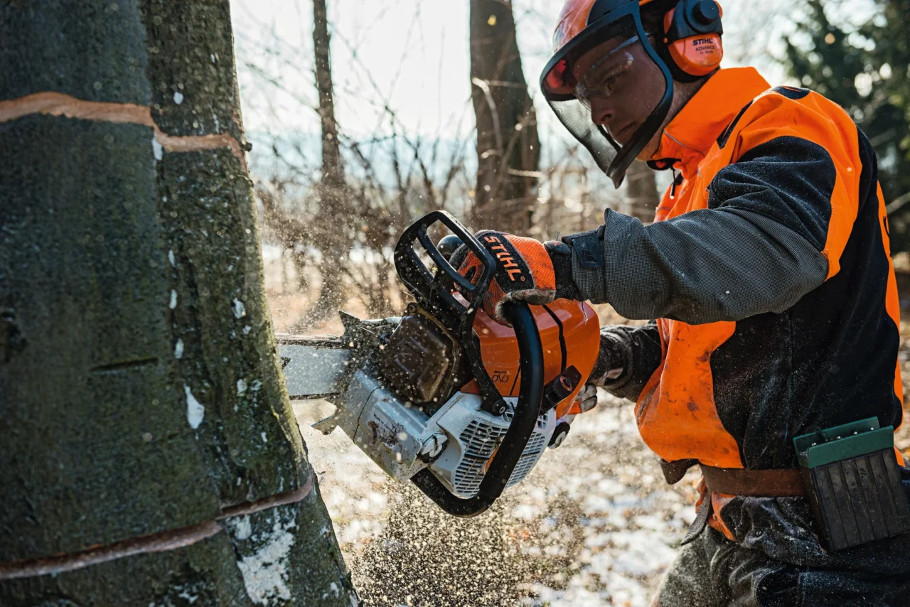 STIHL MS 661 C-M, Guide Rollo ES Light 80 cm (3/8 RM) – Guide Rollo ES Light 80 cm (3/8 RM) - en situation