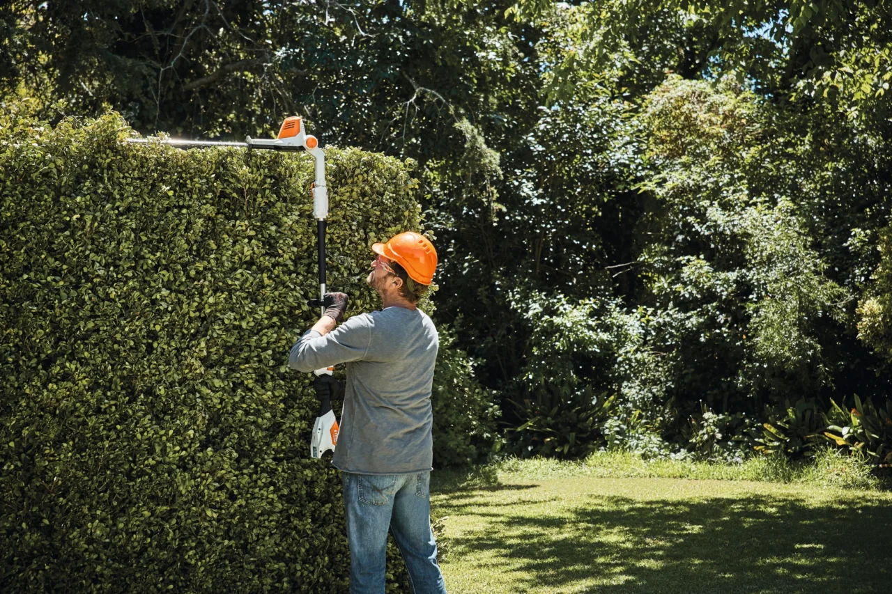 STIHL Pack HLA 56 SET Coupe-Haie à batterie - en situation