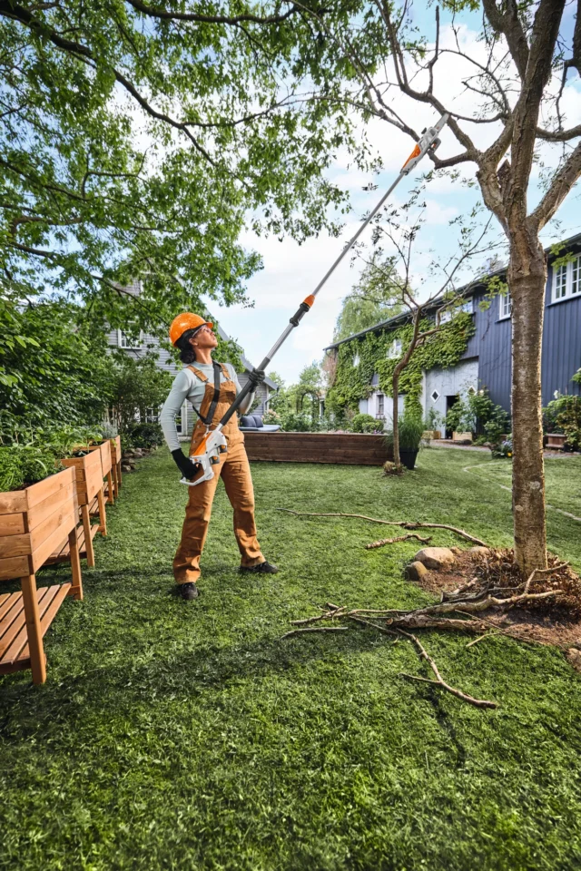 STIHL Pack HTA 30 / 2 Batteries AS 2 et 1 chargeur ALS 31 - en situation