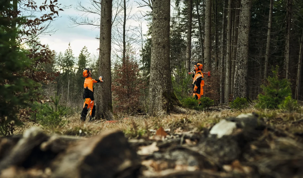 STIHL Pantalon DYNAMIC DuroTEC, design A classe 2 – 3XL - en situation