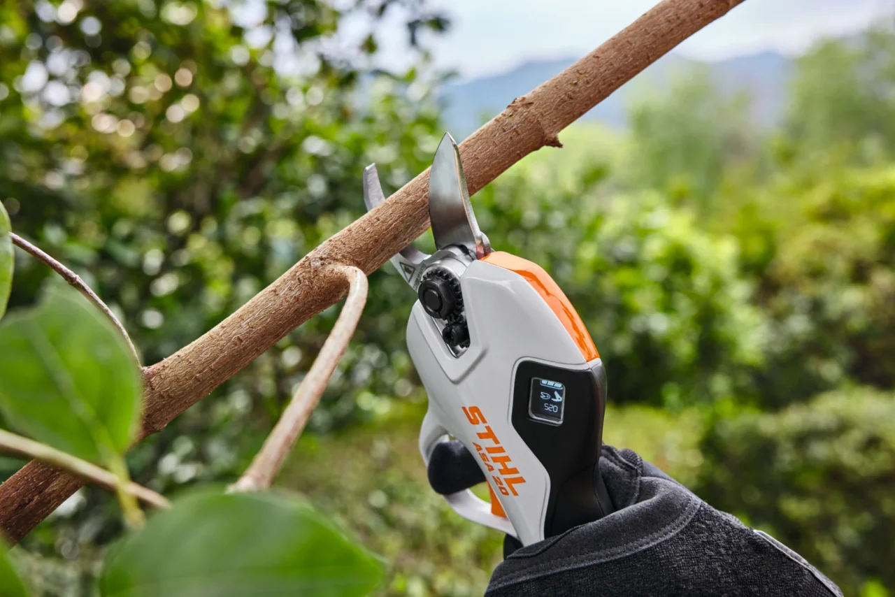 STIHL Sécateur ASA 20 sans batterie ni chargeur - en situation