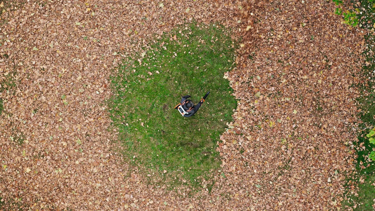 STIHL Souffleur à batterie BGA 300.1 sans batterie ni chargeur - en situation