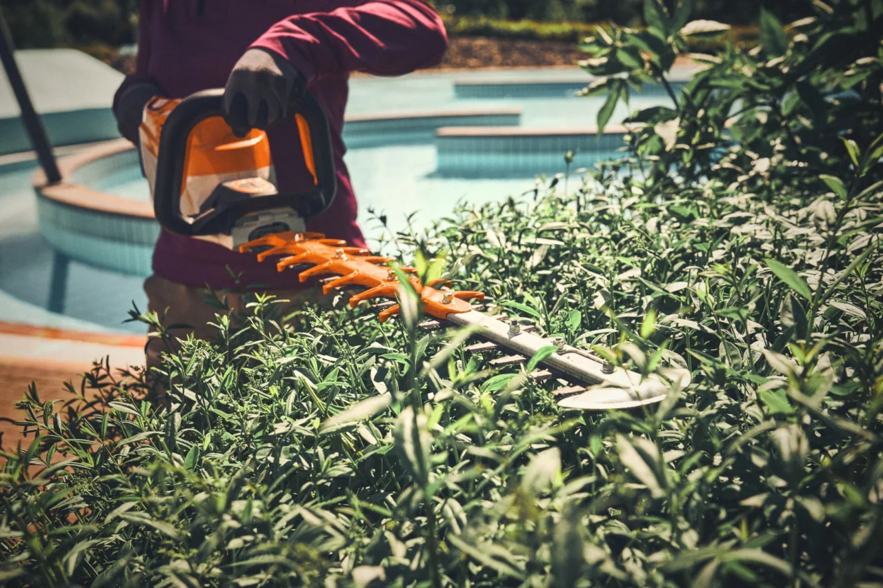 STIHL Taille-haie HSA 140 T sans batterie ni chargeur – 75 cm - en situation