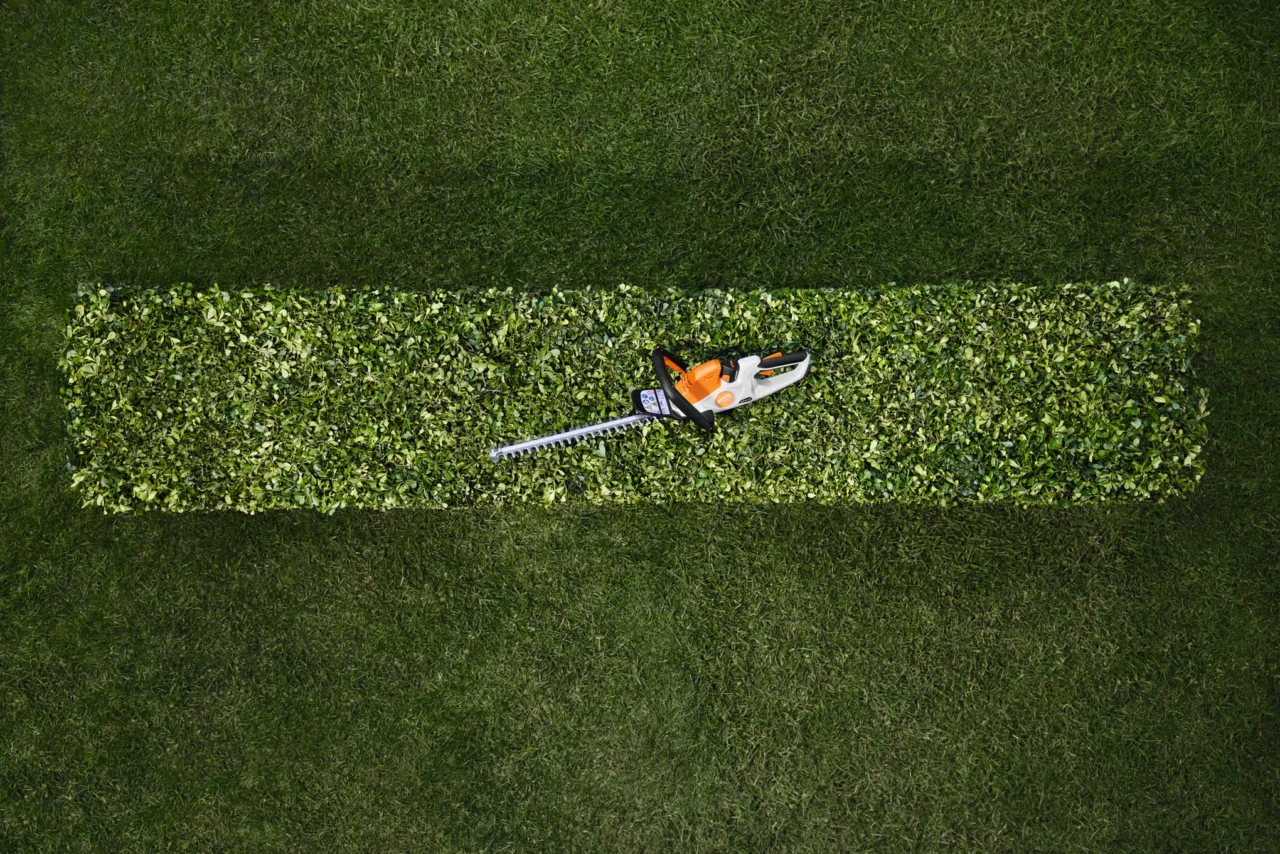 STIHL Taille-haie HSA 30 sans batterie ni chargeur - en situation