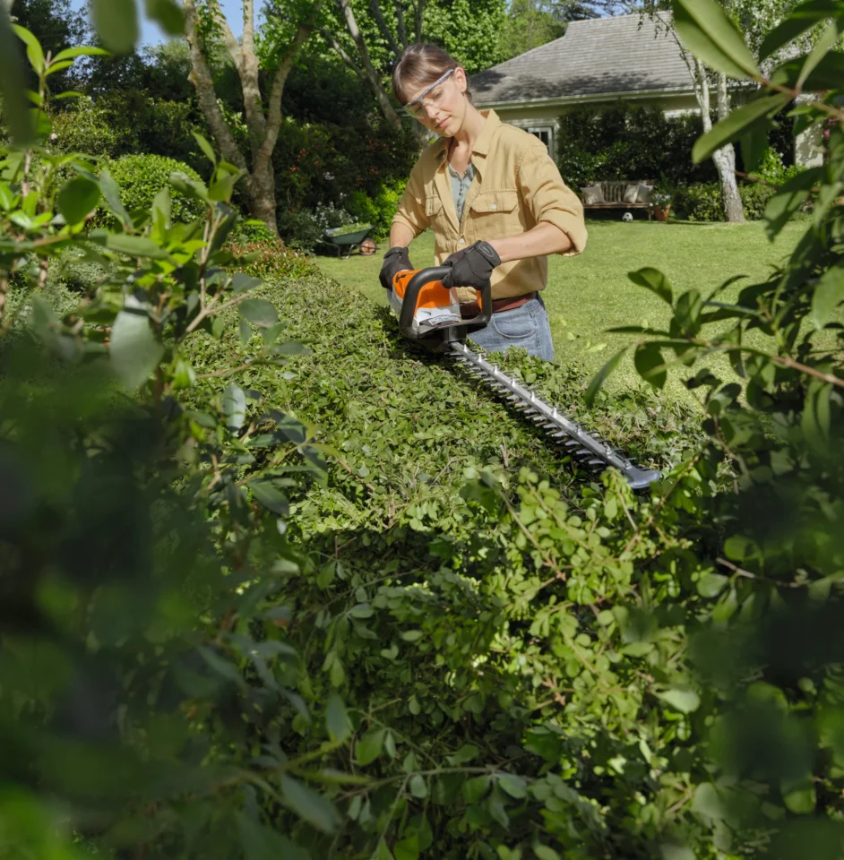 STIHL Taille-haie HSA 60 sans batterie ni chargeur - en situation