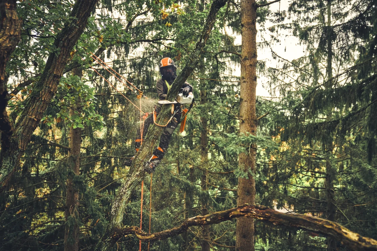 STIHL Tronçonneuse MSA 220 TC-O sans batterie ni chargeur - en situation