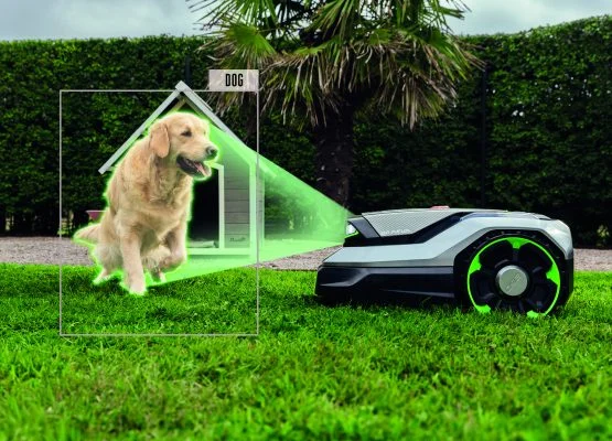 Aura-R2 chien